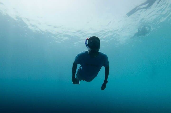 Snorkeling Cala Gonone: Explore Posidonia Meadows in the Gulf of Orosei photo 6