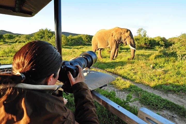 3-Day Group Camping Safari: Tarangire, Ngorongoro & Lake Manyara