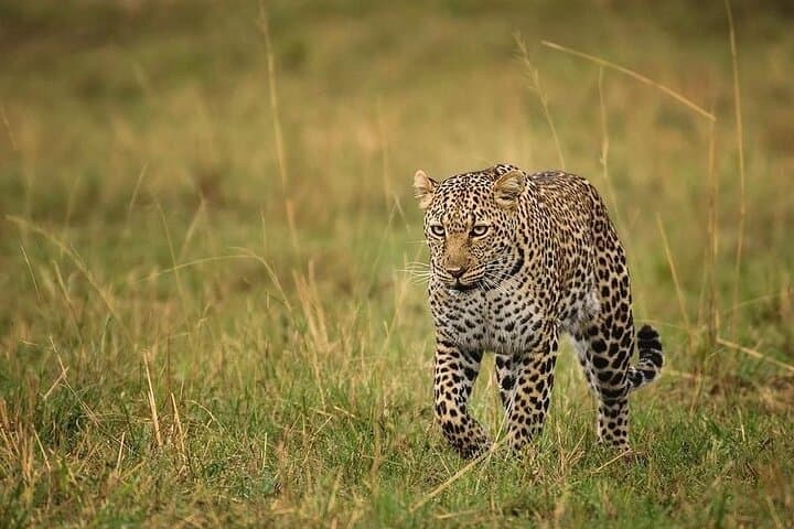 3-Day Group Camping Safari: Tarangire, Ngorongoro & Lake Manyara photo 6