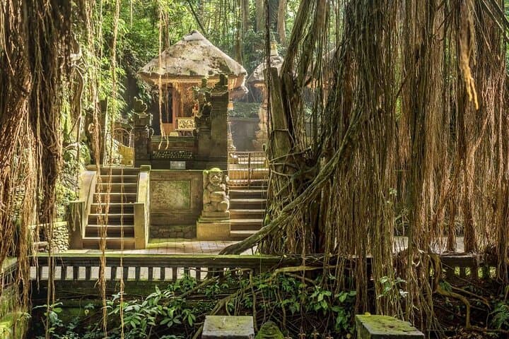 Ubud Cultural and Nature Full-Day Tour — ARMA, Monkey Forest & Tegenungan Waterfall photo 4