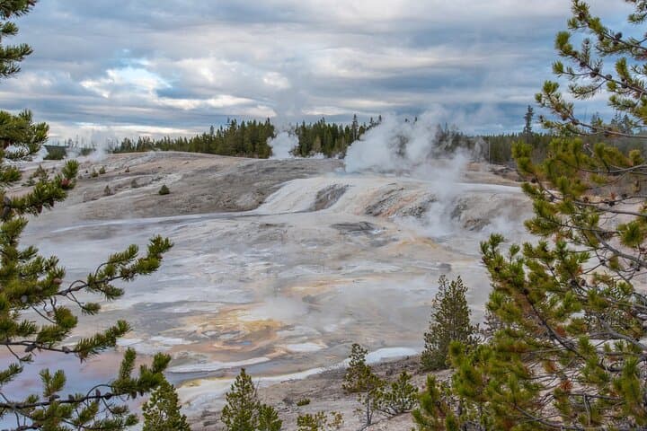 Private Yellowstone Day Tour — Hayden Valley, Old Faithful & Grand Canyon Highlights photo 2