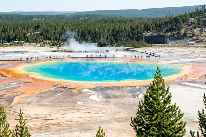 Private Yellowstone Day Tour — Hayden Valley, Old Faithful & Grand Canyon Highlights photo 5