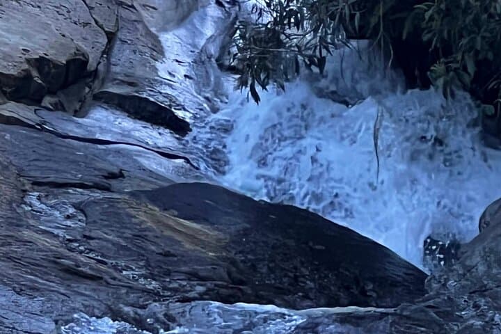 Private Guided River and Beach Tour: Rio las Pailas, Luquillo & Loíza photo 4