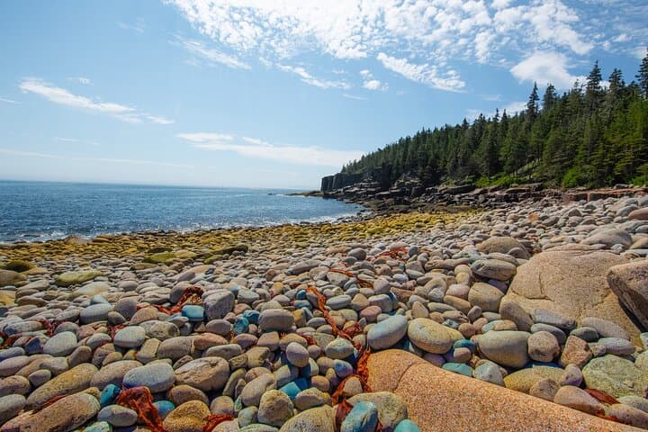 Private Acadia National Park Tour from Bar Harbor — Park Loop, Cadillac & Somes Sound photo 5