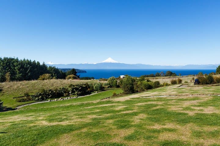 Between Lakes: Entre Lagos, Puerto Octay, Lake Rupanco and Puyehue Day Tour photo 3
