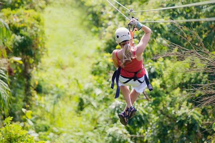 Big Island Zipline Over Kolekole Falls — Private Hilo Zipline Adventure photo 1