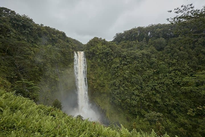 Big Island Zipline Over Kolekole Falls — Private Hilo Zipline Adventure photo 2