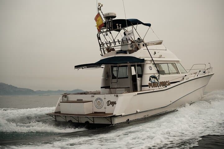 Private Dolphin Watching Tour in Algeciras Bay — Strait of Gibraltar Wildlife Cruise photo 2