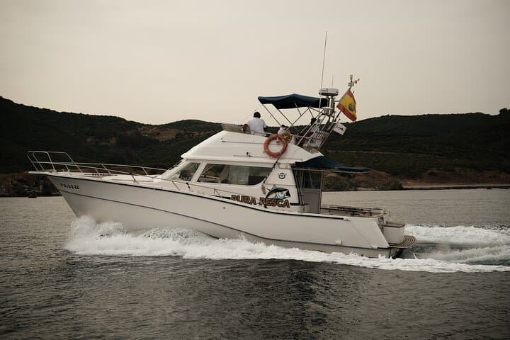 Private Dolphin Watching Tour in Algeciras Bay — Strait of Gibraltar Wildlife Cruise