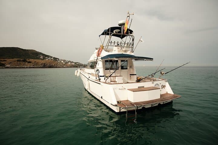 Private Dolphin Watching Tour in Algeciras Bay — Strait of Gibraltar Wildlife Cruise photo 3