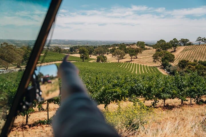 EcoVine Explorer: Solar E-Cart Vineyard Tours at Lambert Estate, Barossa Valley photo 4