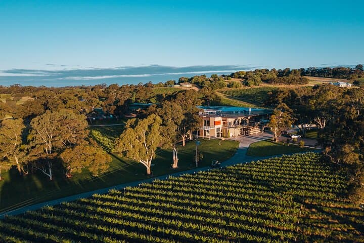 EcoVine Explorer: Solar E-Cart Vineyard Tours at Lambert Estate, Barossa Valley photo 5