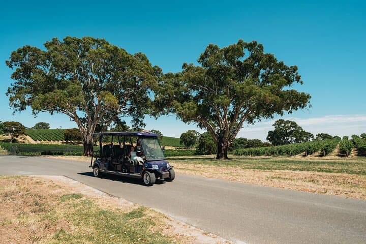 EcoVine Explorer: Solar E-Cart Vineyard Tours at Lambert Estate, Barossa Valley
