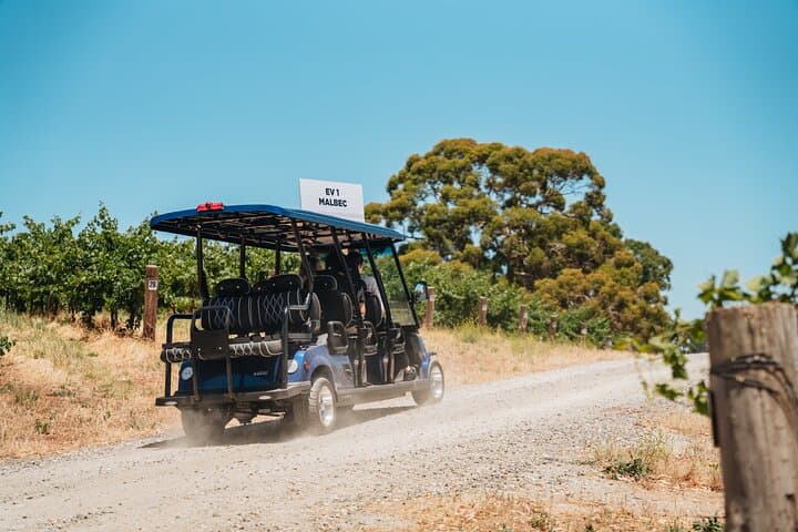 EcoVine Explorer: Solar E-Cart Vineyard Tours at Lambert Estate, Barossa Valley photo 2