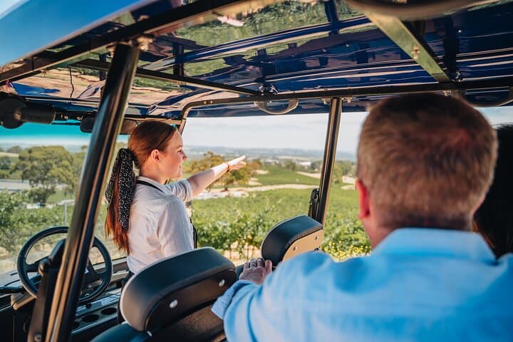 EcoVine Explorer: Solar E-Cart Vineyard Tours at Lambert Estate, Barossa Valley photo 3