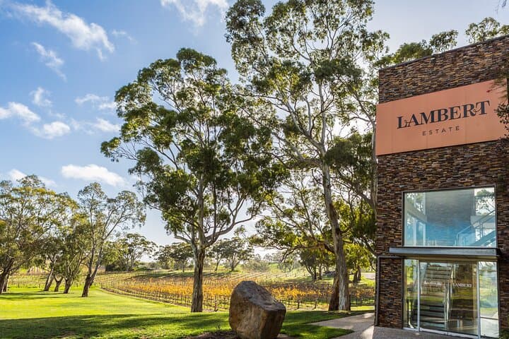 EcoVine Explorer: Solar E-Cart Vineyard Tours at Lambert Estate, Barossa Valley photo 6