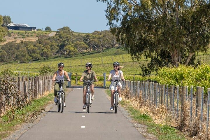 Discover McLaren Vale on eBikes: Full-Day Wine Region & Coastal Ride