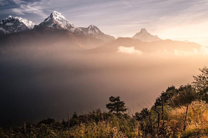 2-Day Poon Hill Trek from Pokhara — Sunrise over Annapurna & Dhaulagiri photo 4