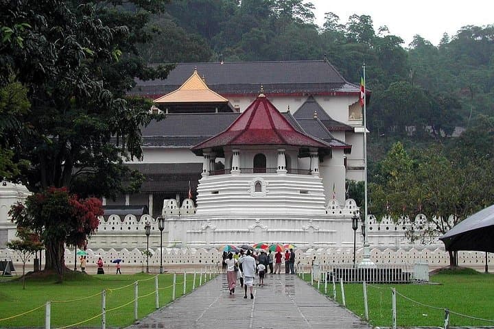 Honeymoon Adventure Across Sri Lanka: Beaches, Tea Trails & Wildlife in 8 Days photo 2
