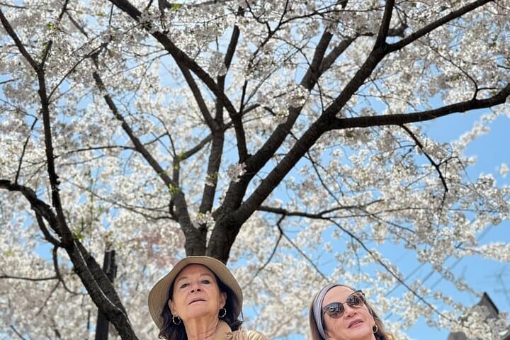 Full-Day Kyoto Cultural Walking Tour with Accredited Guide photo 2