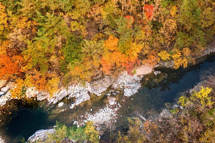 Odaesan National Park Autumn Foliage Tour — Visit the Goblin (Dokkaebi) Film Site and Woljeongsa Temple photo 2