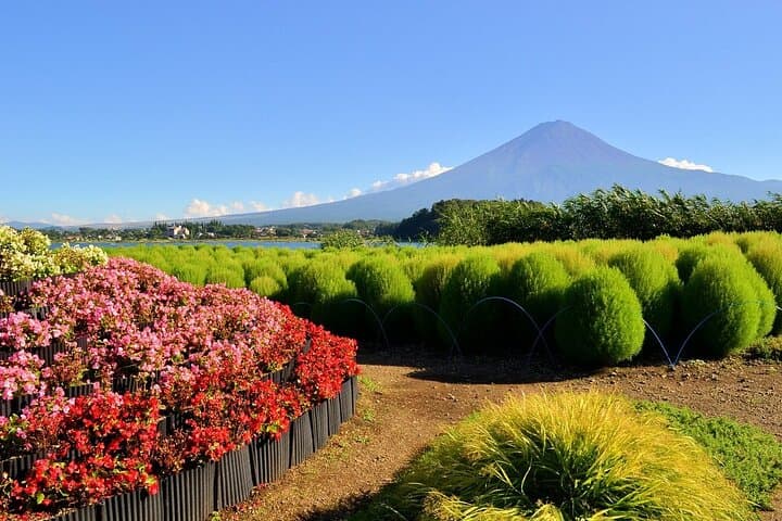 Mt Fuji and Hakone Day Tour: Cruise, Ropeway & Oshino Hakkai Guide photo 4