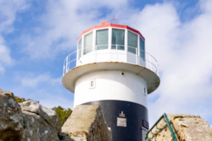 Half-Day Cape Peninsula Tour — Chapman’s Peak, Cape Point & Boulders Beach photo 3