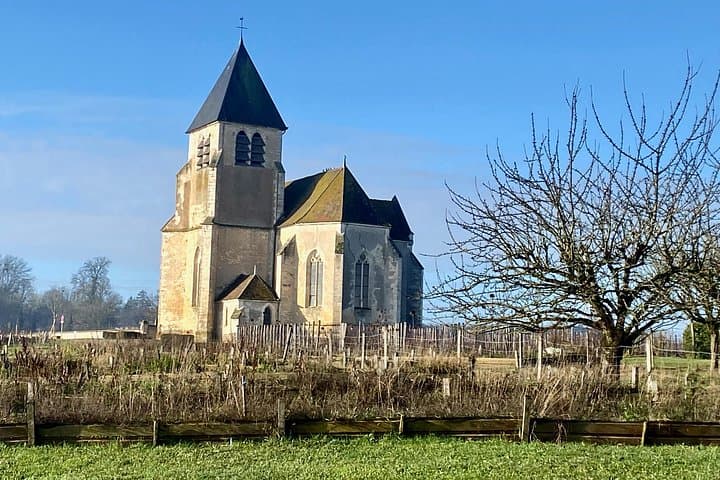 3-Day Castles, Champagne & Chablis — Private Loire Valley and Champagne Tour from Paris photo 1