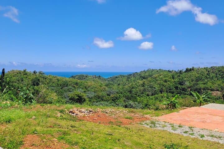 Jungle to Shoreline: Full-Day Hike to Playa Frontón and Boca del Diablo (Las Galeras) photo 3