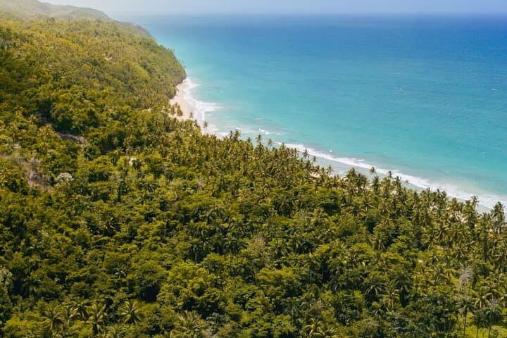 Jungle to Shoreline: Full-Day Hike to Playa Frontón and Boca del Diablo (Las Galeras)
