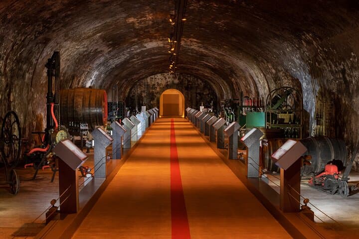 Private Champagne Tour to Mumm in Reims from Paris photo 6