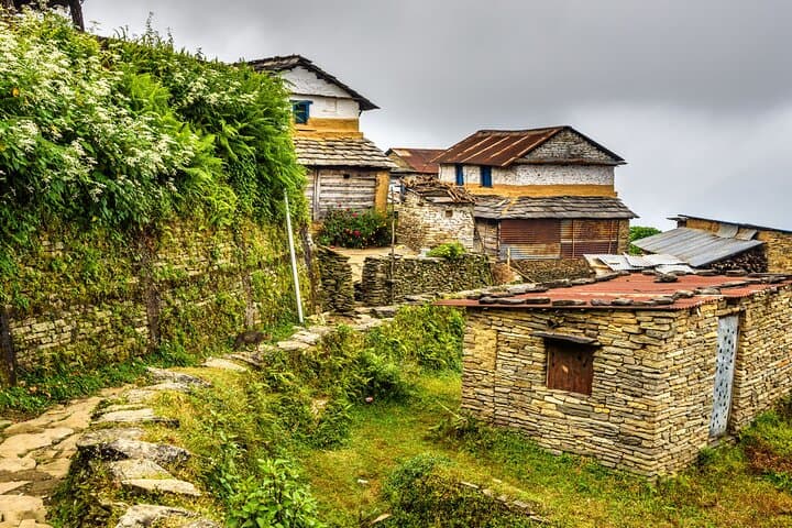 Hike Australian Camp & Dhampus Village: Day Trip from Pokhara photo 3