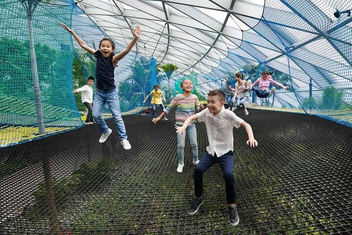Explore Jewel Changi Canopy Park: Rain Vortex, Discovery Slides & Petal Garden photo 4
