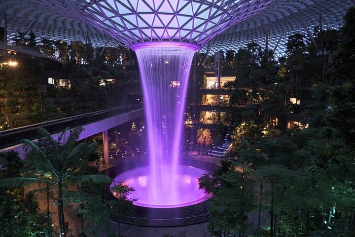 Explore Jewel Changi Canopy Park: Rain Vortex, Discovery Slides & Petal Garden photo 6