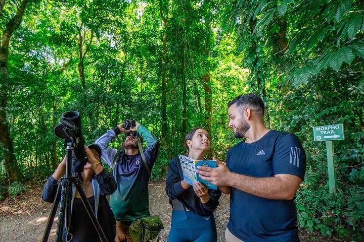Curi Cancha Reserve Guided Walk: Monteverde Cloud Forest Birding & Wildlife