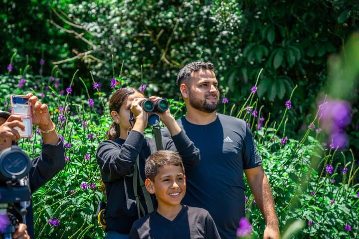Curi Cancha Reserve Guided Walk: Monteverde Cloud Forest Birding & Wildlife photo 2