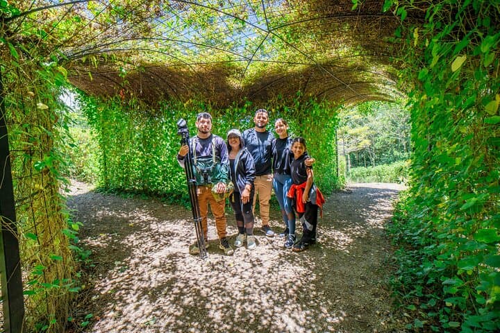 Curi Cancha Reserve Guided Walk: Monteverde Cloud Forest Birding & Wildlife photo 4