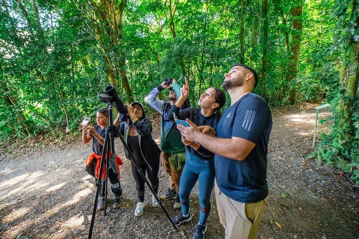 Curi Cancha Reserve Guided Walk: Monteverde Cloud Forest Birding & Wildlife photo 6