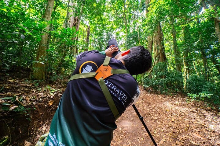 Guided Walk Through Monteverde Cloud Forest Reserve — What to Expect photo 4