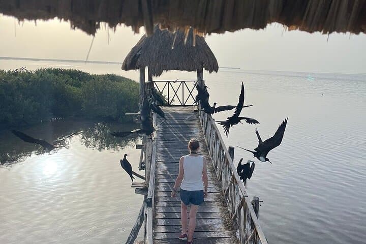 Holbox Three-Island Boat Tour: Punta Mosquito, Isla Pájaros & Isla de la Pasión photo 6