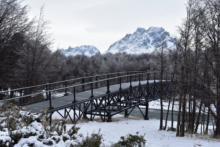 Full-Day Torres del Paine Private Tour — Pehoé, Grey Glacier & Milodón Cave photo 6