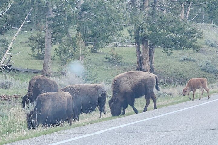 Private Personalized Park Tours in Utah: Customize Your National Park Road Trip from Salt Lake City photo 5