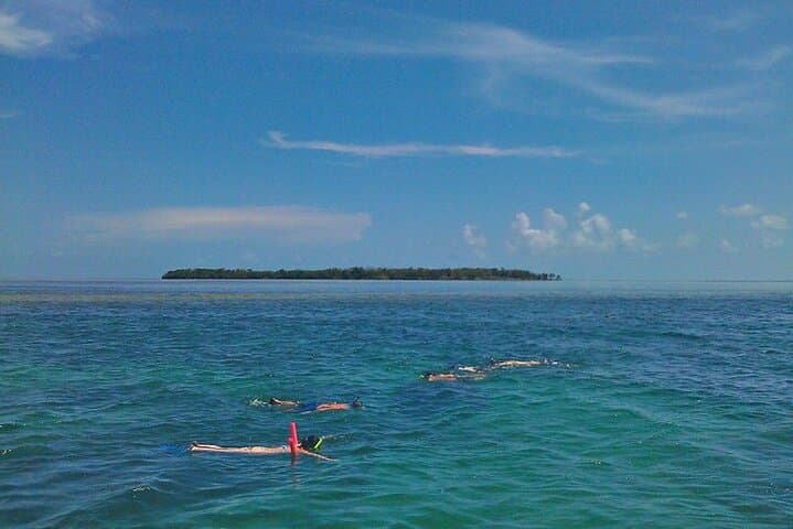 Key West Dolphin Watching and Shallow Water Snorkel on Echo Catamaran photo 6