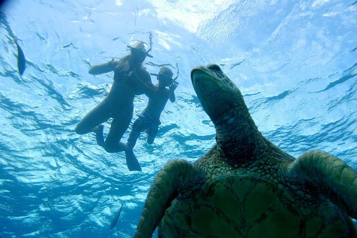 Palehua Ridge Hike & West Oʻahu Catamaran Snorkel — Mountains to Sea in One Day photo 4