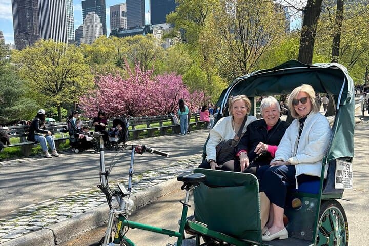 Pedicab Through Central Park: Movie Locations & Celebrity Homes Tour photo 3