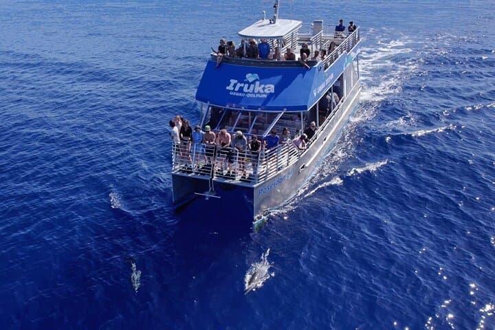 Oahu Dolphin Watch Cruise with Waterslide & Snorkeling — Makaha Marine Adventure photo 2