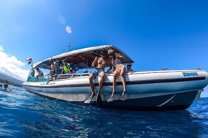 Kona Dolphin Watching & Sea Turtle Snorkel — 2-Hour Afternoon Tour from Honokohau photo 5