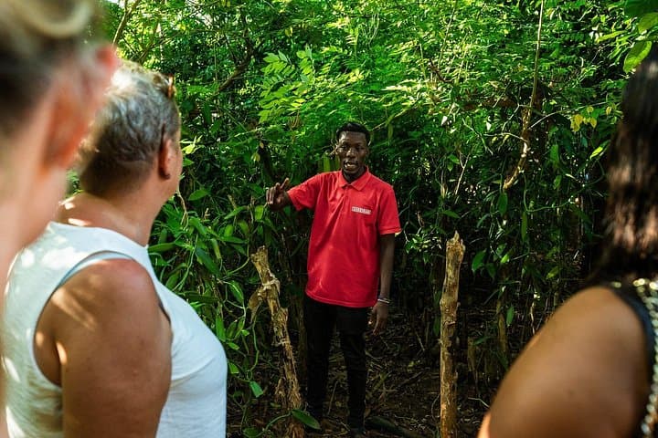 Zanzibar Day Trip — Stone Town, Spice Farm & Prison Island Tortoises photo 2