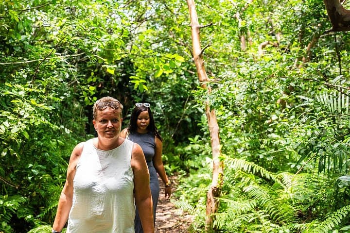 Jozani Forest and The Rock Restaurant: Half-Day Wildlife Walk and Coastal Lunch in Zanzibar photo 2