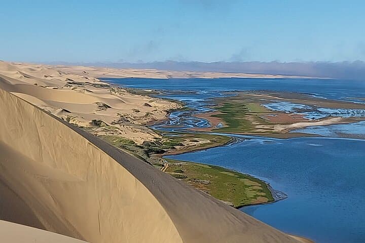 Master the Dunes: A Guided 4WD Self-Drive Adventure in Sandwich Harbor photo 2